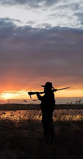 Silhouette of an OWAA hunter against twilit swamp