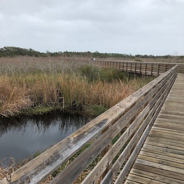 Boardwalk at Gulf Shores State Park